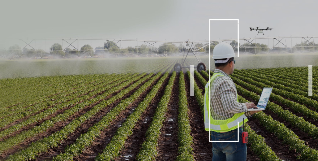 Agriculture de Précision